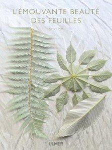 L'émouvante beauté des feuilles de Gérard Jan aux Editions Ulmer