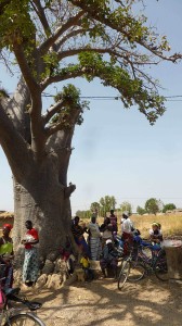 Baobab - A l'ombre - Burkina Faso - Novembre 2016 - photo LM