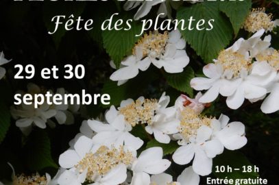 club de rencontres lannion