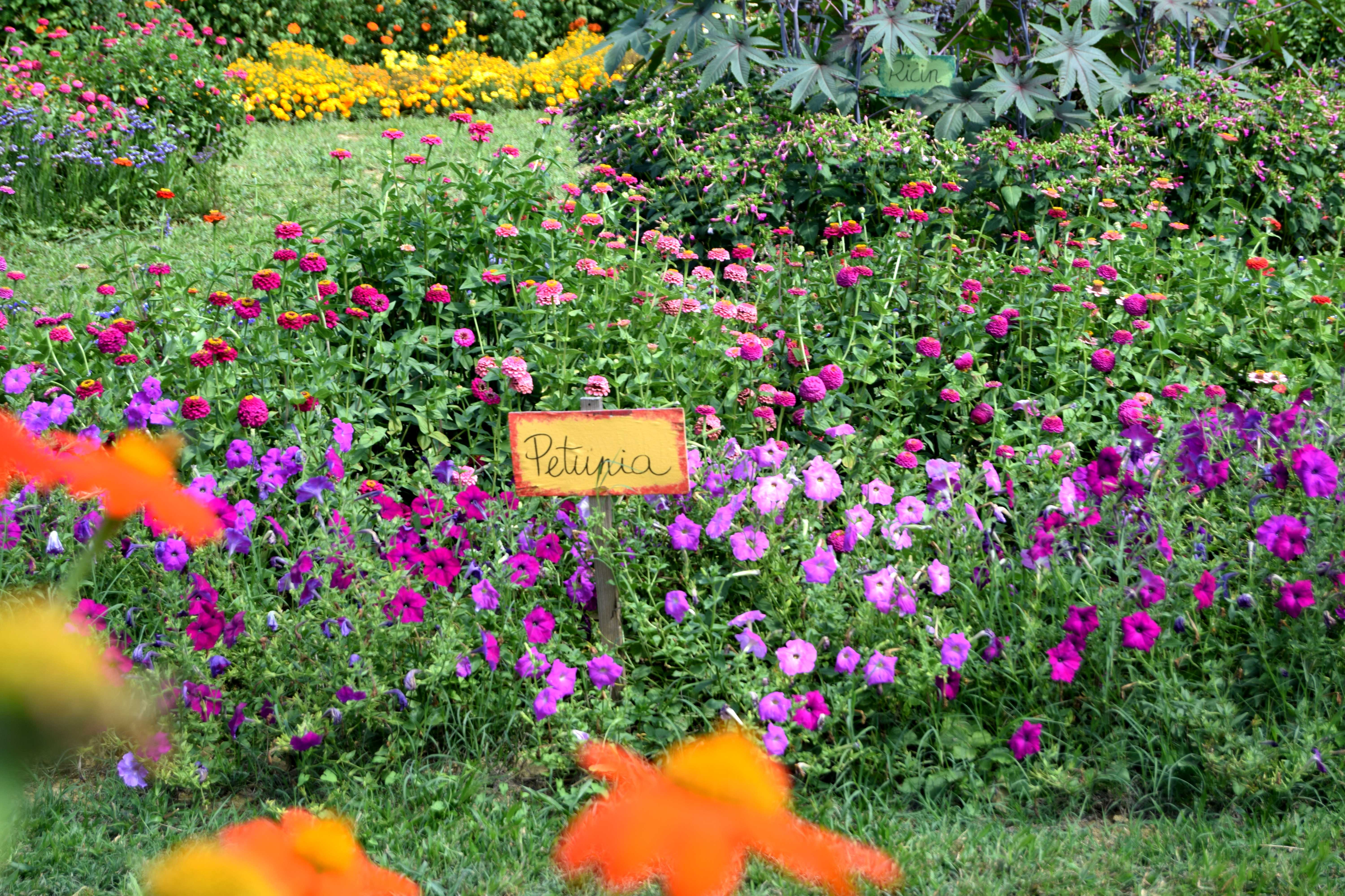 2jardin_des_fleurs_2bis