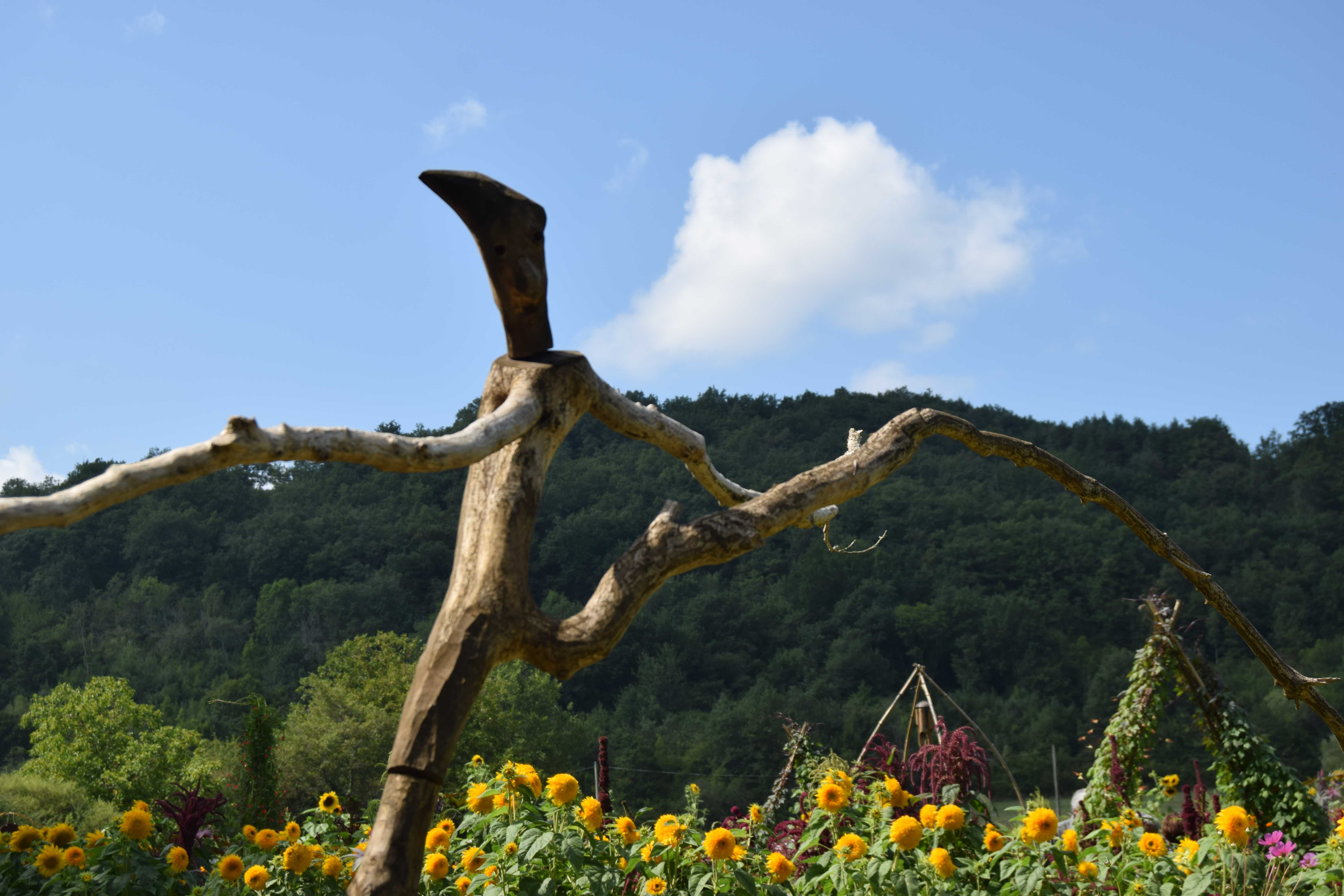 2jardin_des_fleurs_6