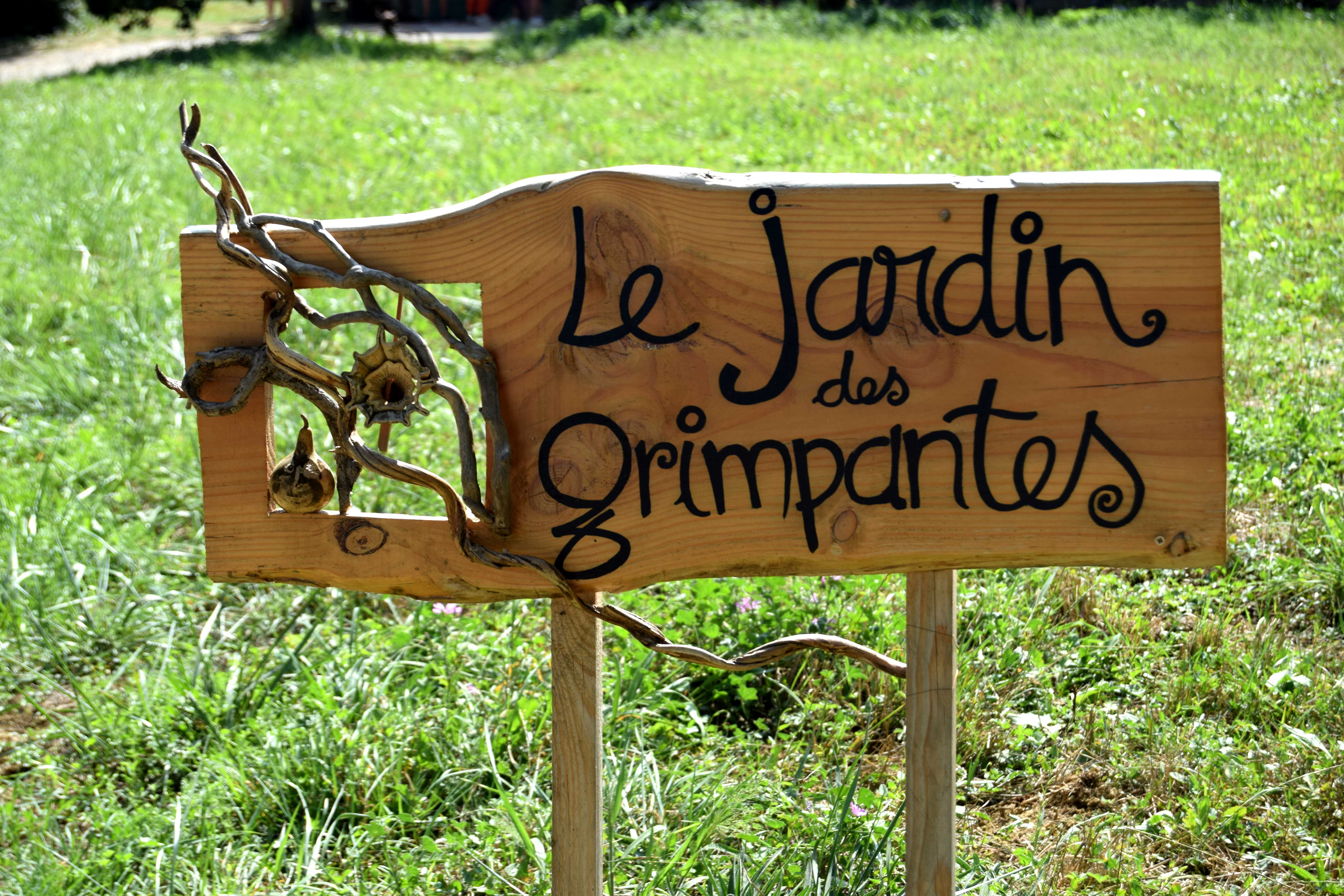 5grimpantes_1