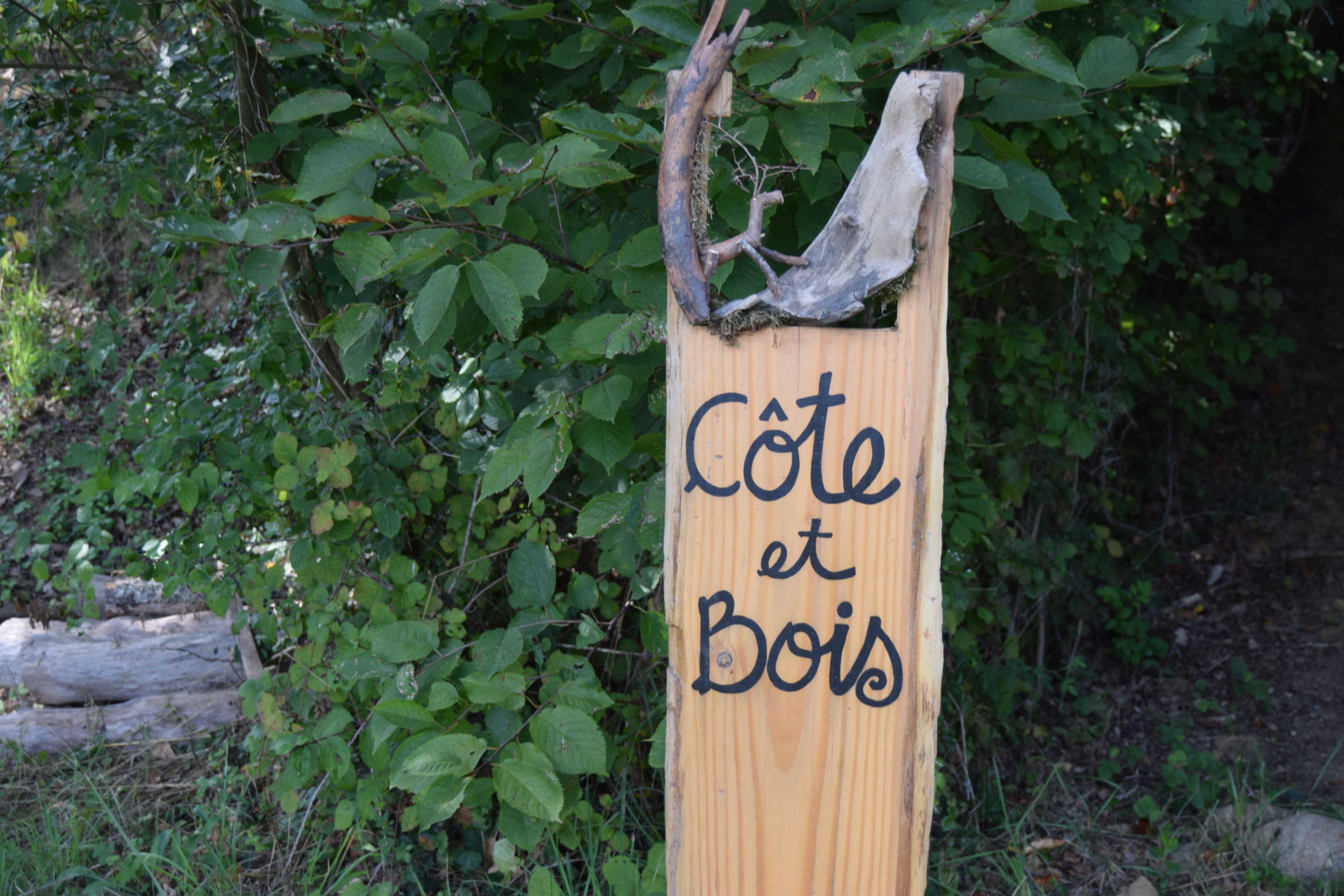 6cote_1