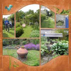 Le jardin du marais - Cotentin - CLG