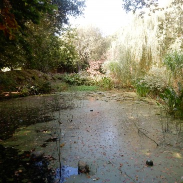 Le jardin de Pascale  à PLoubezre