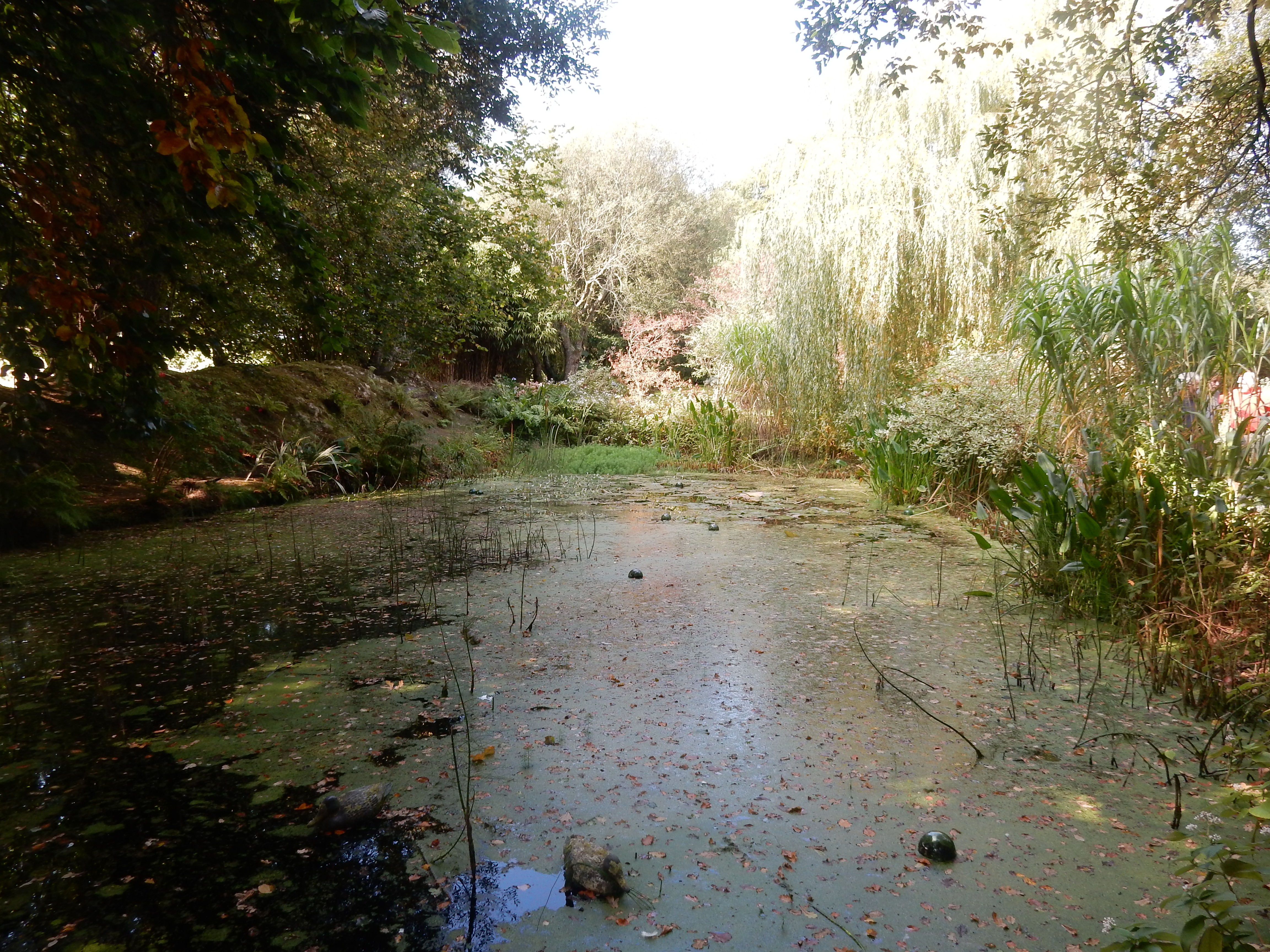 Le jardin de Pascale  à PLoubezre