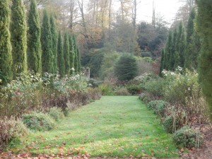 une allée du parc 