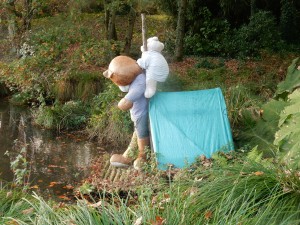 des ours se promènent dans le parc 