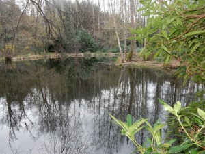 Jardin G et M à Plouberze