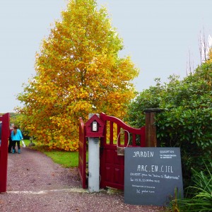 Le jardin de Nelly "Arc-en-ciel" 23 octobre 2015 - Photo LM