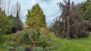 Le jardin de Nelly "Arc-en-ciel" - 23 octobre 2015 - Photo LM