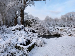 Jardin de Keravel - Janvier 2015 - Photo GC