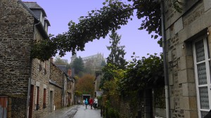 A Fougères, les kiwis traversent les rues ! Photo LM