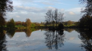 Parc Botanique de Haute Bretagne - Photo LM