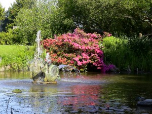 Etang Alain et Martine