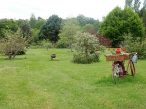 dans le jardin de Nelly