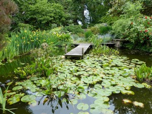 Jardin de Noel M - 31 mai 2016 Photo GC