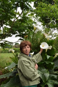 Jardin d'Yveline à Bégard - 11 juin 2016 - Photo JGG