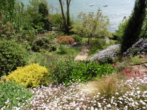 Jardin de Marité - 2 juin 2016 - Photo MLG