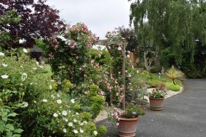Jardin d'Yveline à Bégard - 11 juin 2016 - Photo JGG