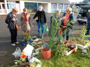 troc de plantes nov 16