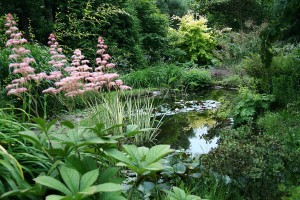 Jardin de Ker Louis - Photo LM