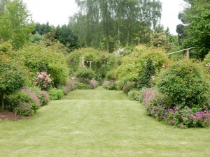 jardin pordi jardin de roses