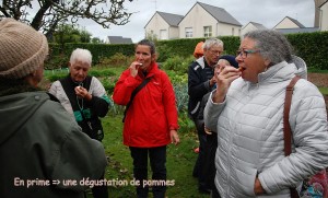 7 novembre 2015 dans le potager de Jo 