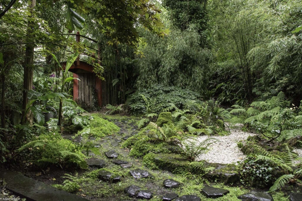 Jardin Armel L'Hostis - 29 juin 2017 - Photo Roland Soulabail