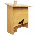 abri-chauve-souris